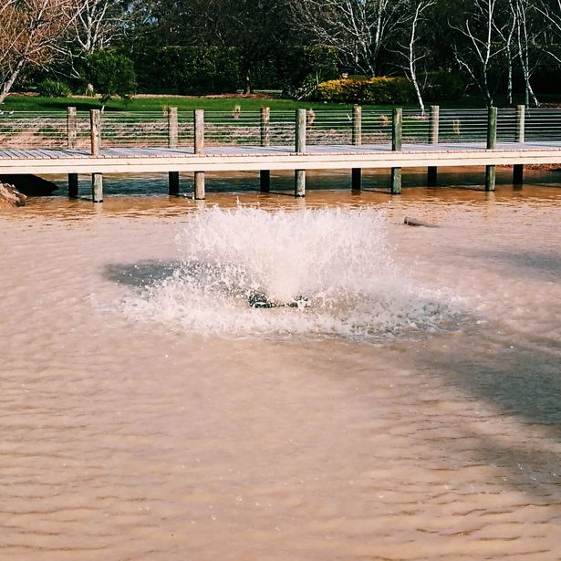 Lake with a bridge with running water fountain