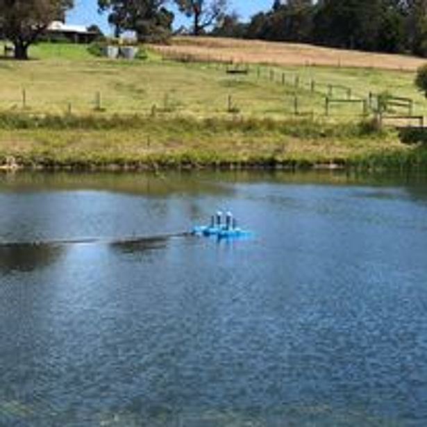 Two irrigation pumps used in a lake